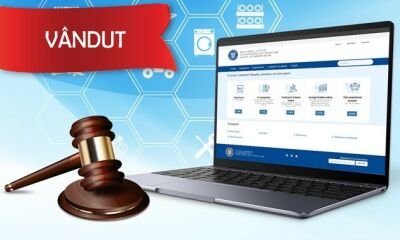 Câine metis din rasa ogar cod microcip 642090001872478